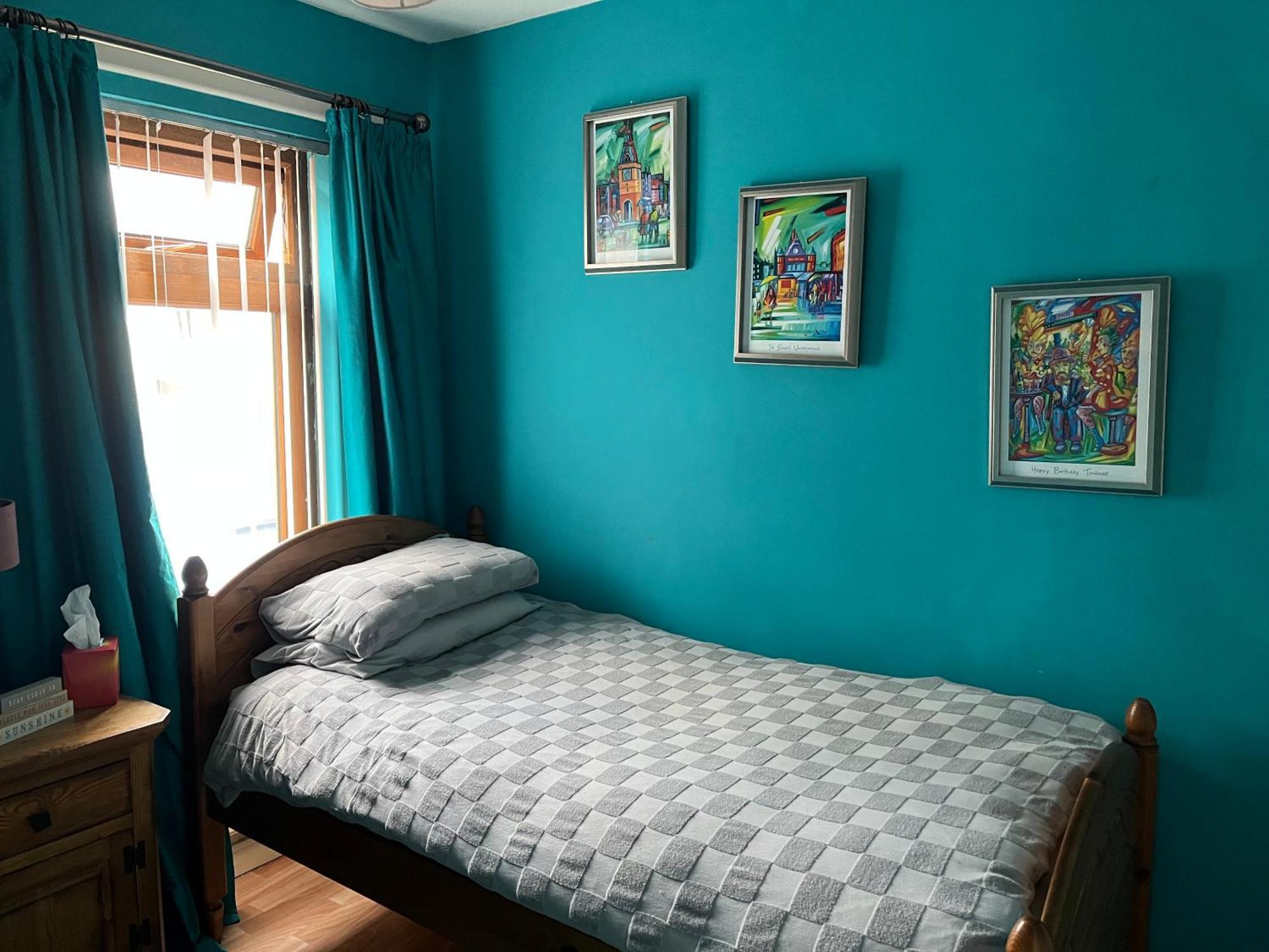 11 Parkmore Street, Ormeau Road, Belfast, Bt7 2Gt, 2 Bedroom House Екстер'єр фото